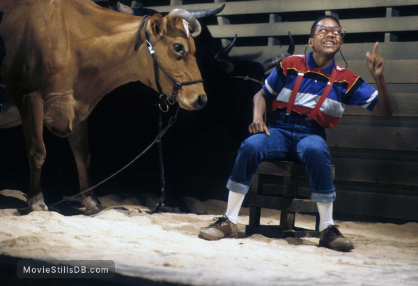 Steve Urkel