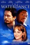The Waterdance poster