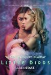 Little Birds poster
