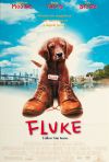 Fluke poster