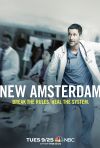 New Amsterdam poster