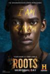 Roots poster