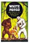 White Pongo poster