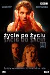 Afterlife poster