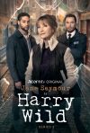 Harry Wild poster